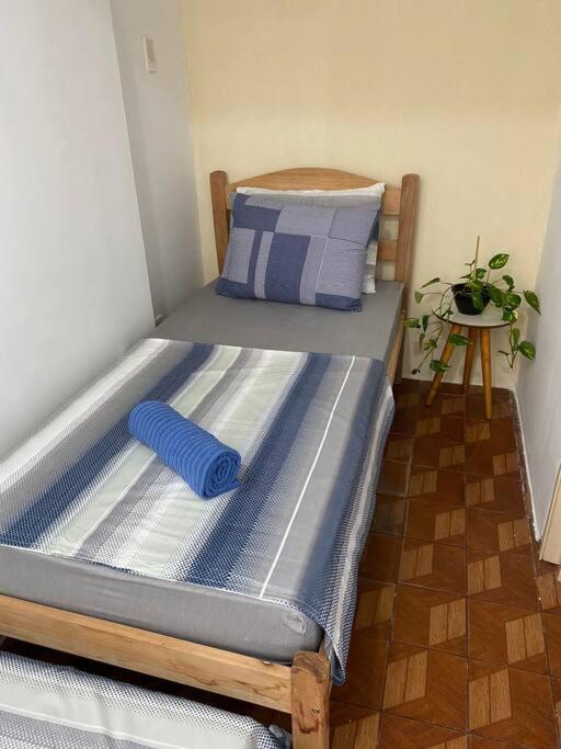 Apartamento No Coracao De 3 Centro